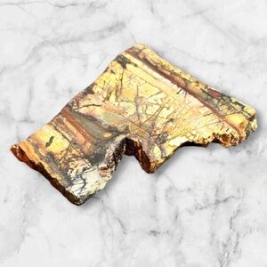 Natural paint Jasper slab unpolished raw for cabochon jewelry making